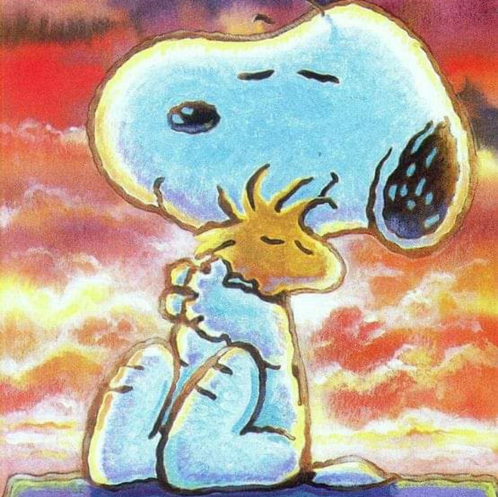 Meet your Posher, Lorrae